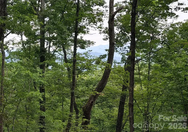 11th image of 0 Harrison Dr, Lake Lure, NC 28746 | MLS# 4410211