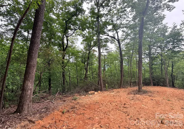 2nd image of 0 Harrison Dr, Lake Lure, NC 28746 | MLS# 4410211