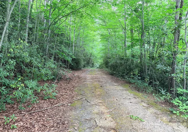 3rd image of 0 Harrison Dr, Lake Lure, NC 28746 | MLS# 4410211