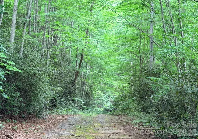 4th image of 0 Harrison Dr, Lake Lure, NC 28746 | MLS# 4410211