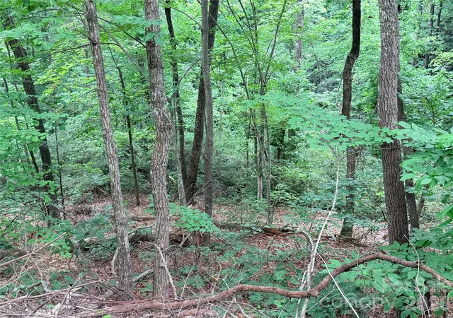 5th image of 0 Harrison Dr, Lake Lure, NC 28746 | MLS# 4410211