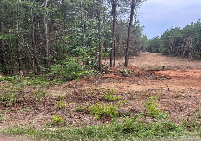 3rd image of 40896 Southbound Rd, Albemarle, NC 28001 | MLS# 4410263