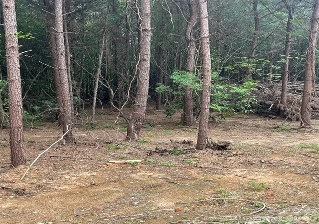 5th image of 40896 Southbound Rd, Albemarle, NC 28001 | MLS# 4410263