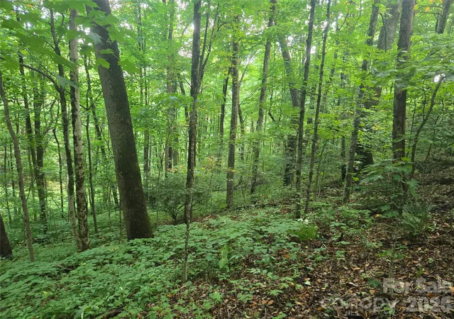 Photo 1 of Land for sale at 000 Rosemount Rd, Sylva, NC 28779 | MLS# 4410293 | Listing updated on 2026-08-21