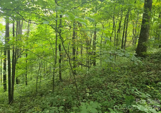 Photo 2 of Land for sale at 000 Rosemount Rd, Sylva, NC 28779 | MLS# 4410293 | Listing updated on 2026-08-21