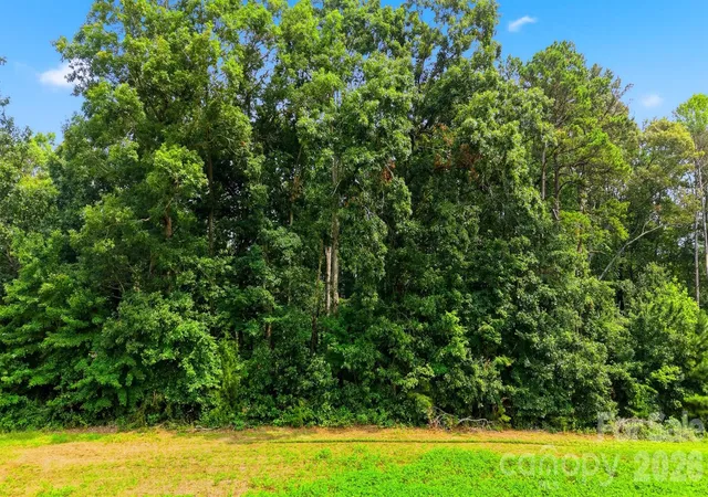 5th image of O Luther Scronce Rd, Vale, NC 28168 | MLS# 4410394