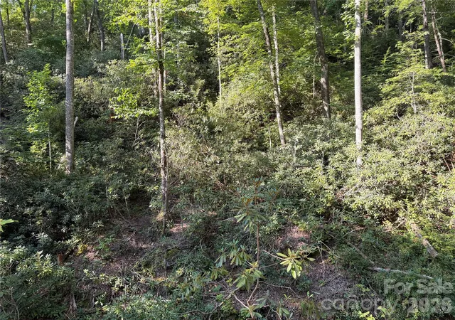 5th image of 267 Cedar Falls Dr #7, Lake Lure, NC 28746 | MLS# 4410442