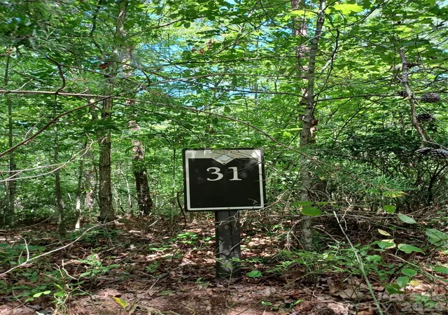 3rd image of 31 Hull Ave, Nebo, NC 28761 | MLS# 4410462