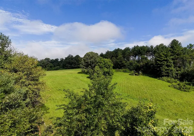 24th image of 99999 Farm Hills Ln, Fletcher, NC 28732 | MLS# 4410473