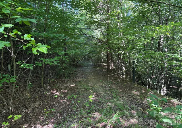Photo 3 of Land for sale at Tbd Casey Mountain Rd #222, Purlear, NC 28665 | MLS# 4410597 | Listing updated on 2026-08-03