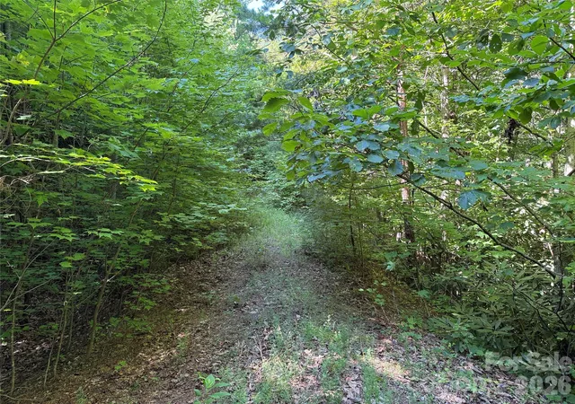 Photo 4 of Land for sale at Tbd Casey Mountain Rd #222, Purlear, NC 28665 | MLS# 4410597 | Listing updated on 2026-08-03