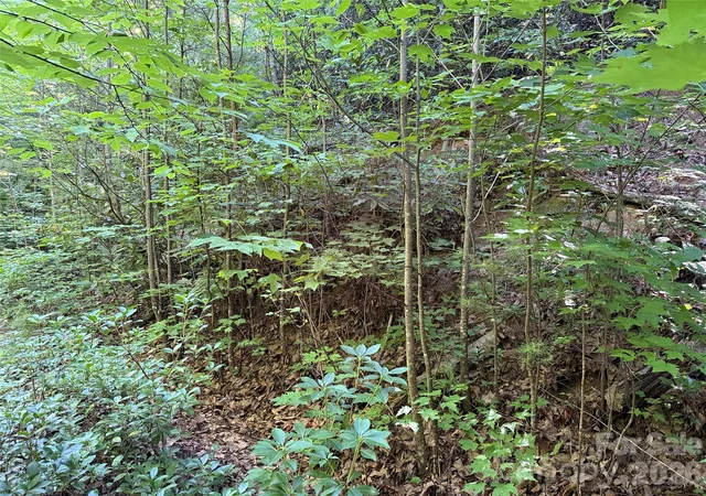 Photo 5 of Land for sale at Tbd Casey Mountain Rd #222, Purlear, NC 28665 | MLS# 4410597 | Listing updated on 2026-08-03