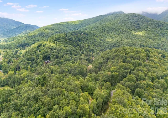 46th image of 256 Fairway Loop, Burnsville, NC 28714 | MLS# 4410607