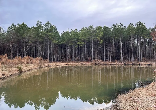 Photo 3 of Land for sale at 1440-2 Carl Taylor Rd, Peachland, NC 28133 | MLS# 4410631 | Listing updated on 2026-09-26