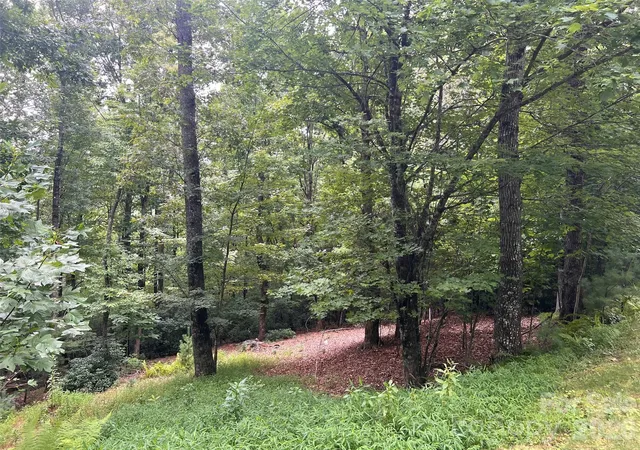1st image of 211 Tom Fazio Tr #342, Hendersonville, NC 28739 | MLS# 4410699