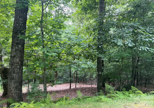 2nd image of 211 Tom Fazio Tr #342, Hendersonville, NC 28739 | MLS# 4410699
