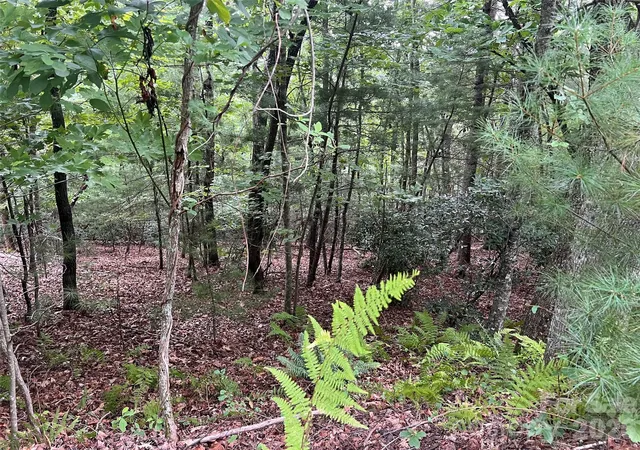 3rd image of 211 Tom Fazio Tr #342, Hendersonville, NC 28739 | MLS# 4410699