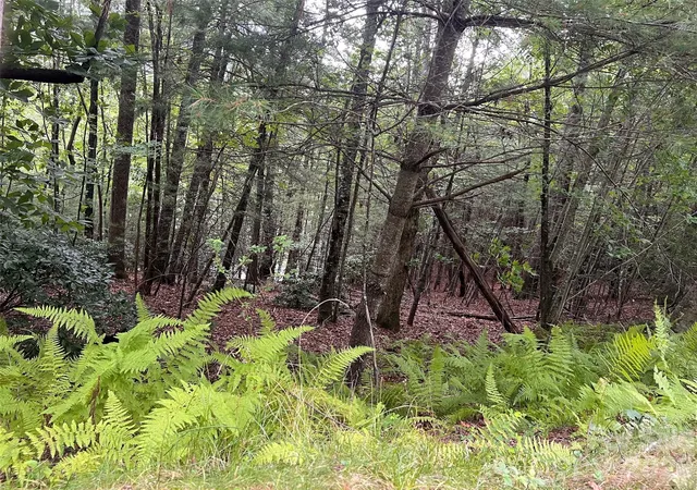 4th image of 211 Tom Fazio Tr #342, Hendersonville, NC 28739 | MLS# 4410699