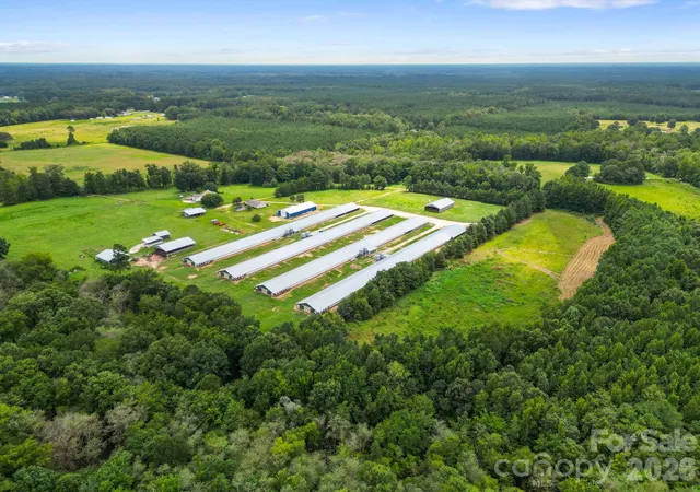 Photo 4 of House for sale at 1333 Bunnlevel Erwin Rd, Bunnlevel, NC 28323 | MLS# 4410775 | Listing updated on 2026-08-03