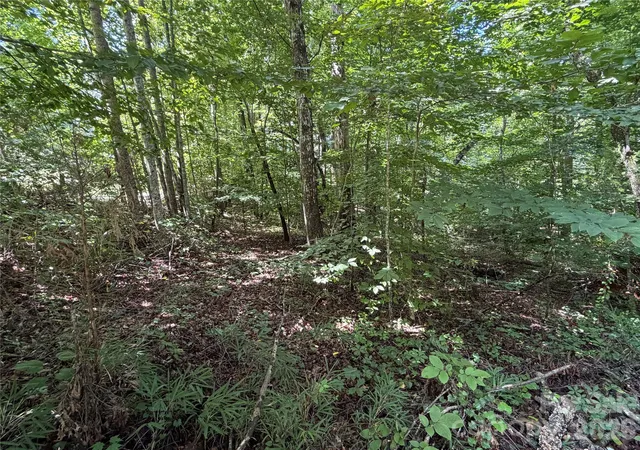 13th image of 0 Beechtree Cir, Rutherfordton, NC 28139 | MLS# 4410810
