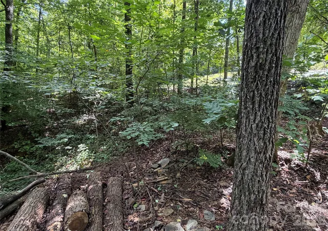 3rd image of 0 Beechtree Cir, Rutherfordton, NC 28139 | MLS# 4410810
