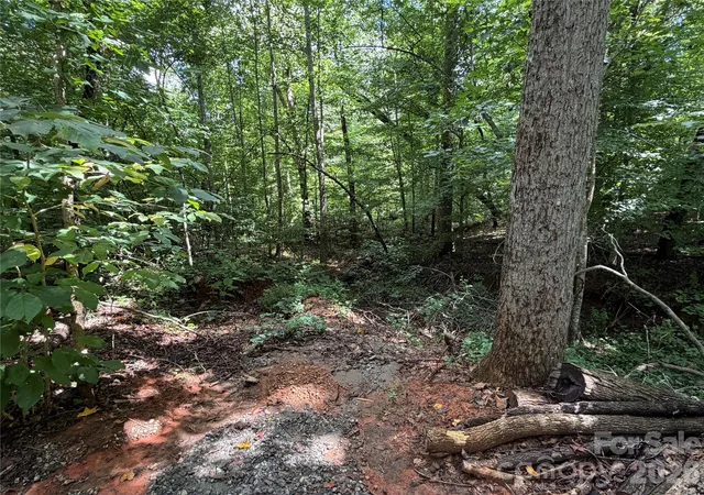5th image of 0 Beechtree Cir, Rutherfordton, NC 28139 | MLS# 4410810