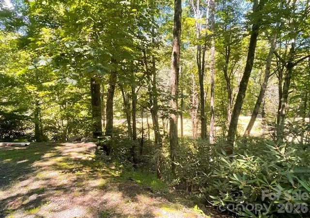 2nd image of 903 Winter Star Loop, Burnsville, NC 28714 | MLS# 4410842