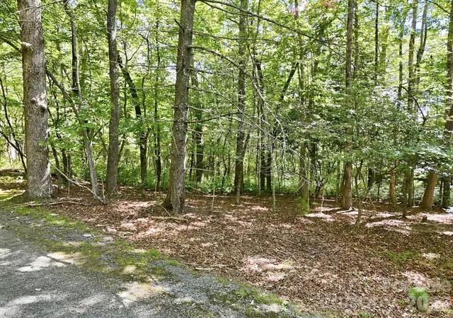 3rd image of 0 Mulberry Cir #J-104, Brevard, NC 28712 | MLS# 4410854