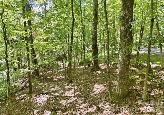 5th image of 0 Mulberry Cir #J-104, Brevard, NC 28712 | MLS# 4410854
