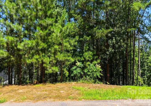 Photo 9 of Land for sale at 38 Peaceful Cvs Ct, Granite Falls, NC 28630 | MLS# 4410895 | Listing updated on 2026-08-03