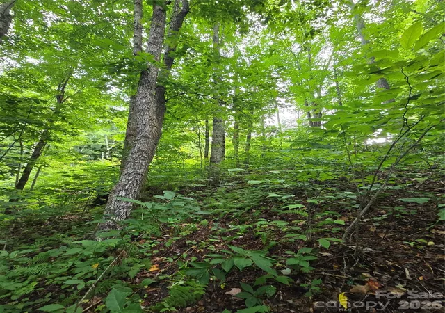 1st image of 108 Tenderfoot Trl #108 & 109, Maggie Valley, NC 28751 | MLS# 4411022