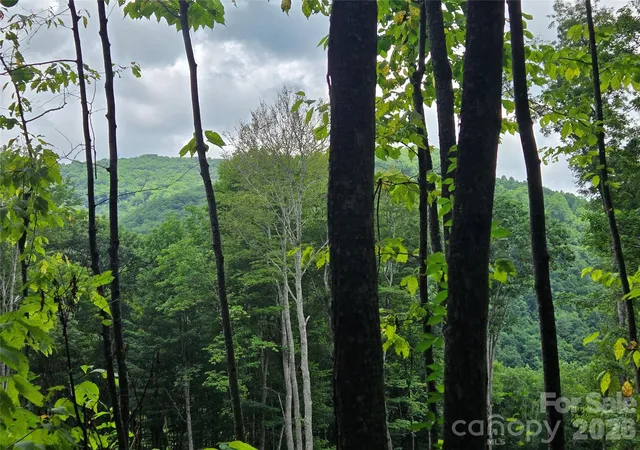 3rd image of 108 Tenderfoot Trl #108 & 109, Maggie Valley, NC 28751 | MLS# 4411022