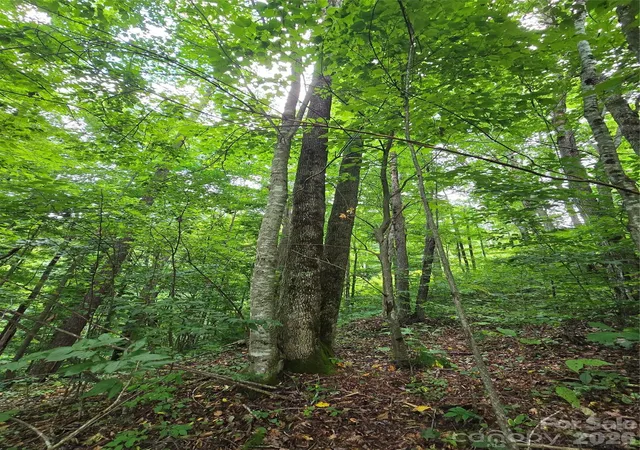 4th image of 108 Tenderfoot Trl #108 & 109, Maggie Valley, NC 28751 | MLS# 4411022