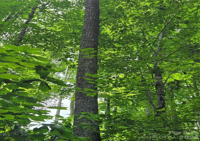 5th image of 108 Tenderfoot Trl #108 & 109, Maggie Valley, NC 28751 | MLS# 4411022
