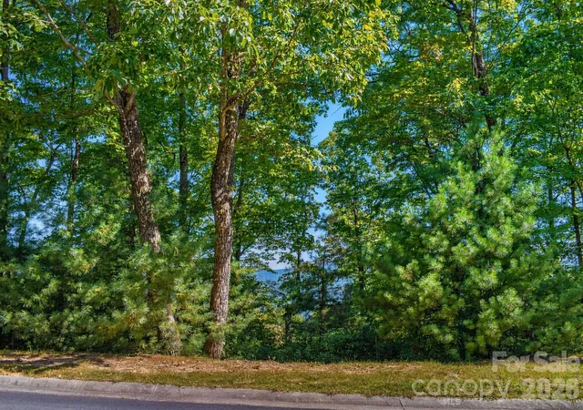 Photo 2 of Land for sale at 838 Mills River Way, Horse Shoe, NC 28742 | MLS# 4411108 | Listing updated on 2026-09-08