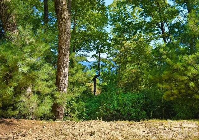 Photo 3 of Land for sale at 838 Mills River Way, Horse Shoe, NC 28742 | MLS# 4411108 | Listing updated on 2026-09-08