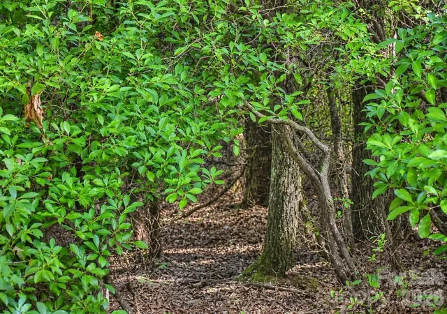 Photo 3 of Land for sale at 838 Mills River Way, Horse Shoe, NC 28742 | MLS# 4411108 | Listing updated on 2026-09-08