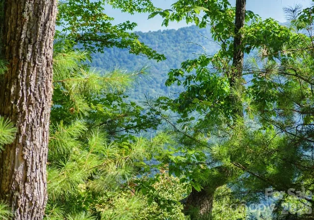 Photo 4 of Land for sale at 838 Mills River Way, Horse Shoe, NC 28742 | MLS# 4411108 | Listing updated on 2026-09-08