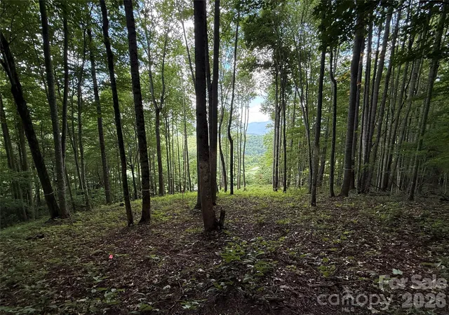 Photo 2 of Land for sale at 1781 High Line Rd #63, Sylva, NC 28779 | MLS# 4411132 | Listing updated on 2026-08-04