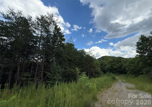 20th image of 3132 Cane Creek Rd, Fairview, NC 28730 | MLS# 4411135