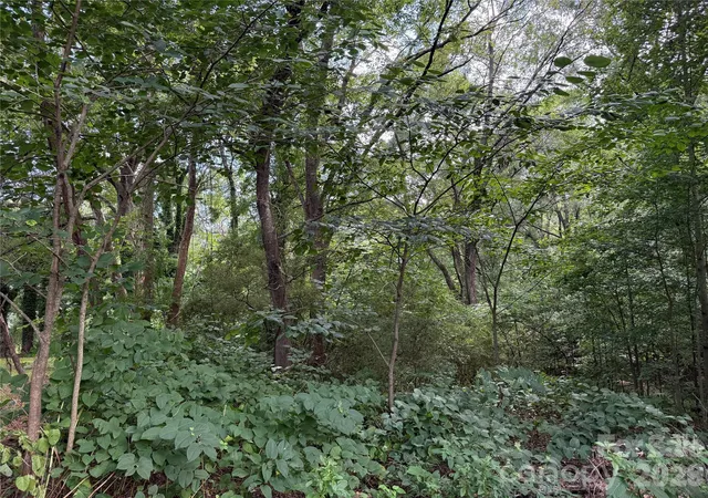 1st image of 00 Joe Ross St, Lincolnton, NC 28092 | MLS# 4411139