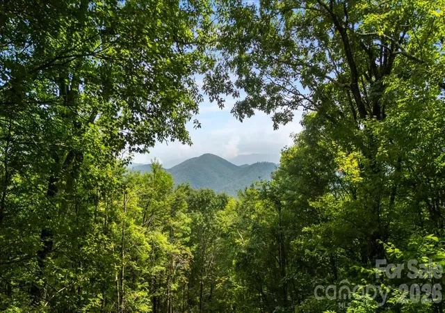 Photo 3 of Single family home for sale at 67 Birch Springs Ln #218, Mars Hill, NC 28754 | MLS# 4411164 | Listing updated on 2026-09-01
