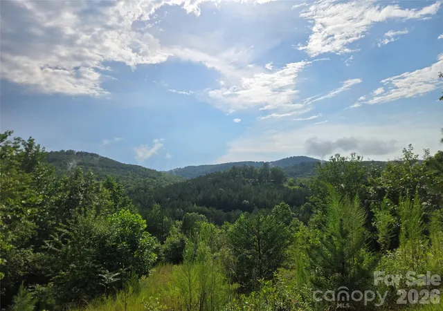1st image of 0 Pinegrove Dr #161, Bostic, NC 28018 | MLS# 4411214
