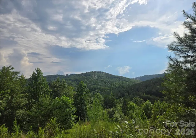 2nd image of 0 Pinegrove Dr #161, Bostic, NC 28018 | MLS# 4411214