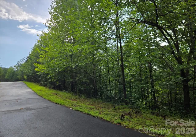 Photo 3 of Land for sale at 0 Pinegrove Dr #161, Bostic, NC 28018 | MLS# 4411214 | Listing updated on 2026-08-17