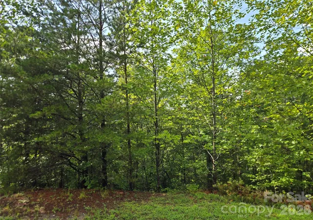 4th image of 0 Pinegrove Dr #161, Bostic, NC 28018 | MLS# 4411214