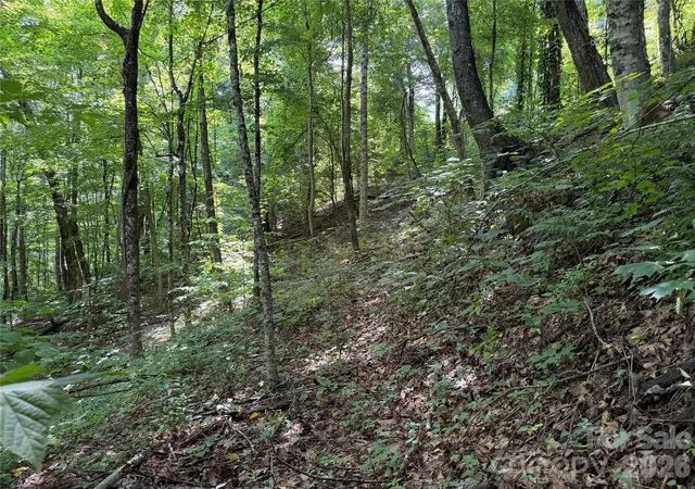 4th image of 0000 Chimney Ridge Trl, Waynesville, NC 28786 | MLS# 4411294