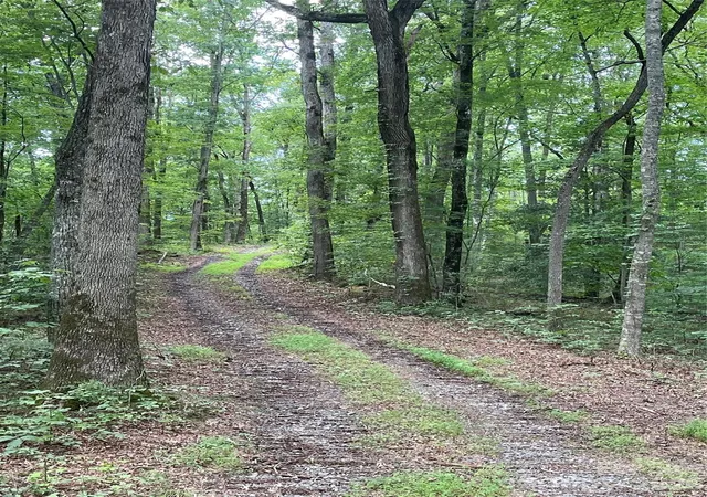 Photo 11 of Land for sale at 2060 Us 19 Hwy S, Bryson City, NC 28713 | MLS# 4411317 | Listing updated on 2026-09-04