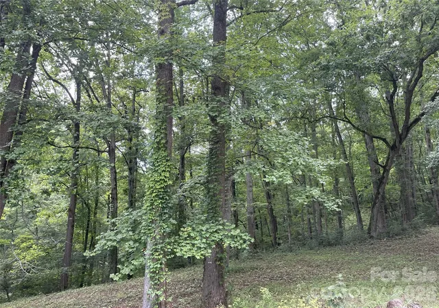 Photo 3 of Land for sale at 2060 US 19 Hwy S, Bryson City, NC 28713 | MLS# 4411317 | Listing updated on 2026-09-04