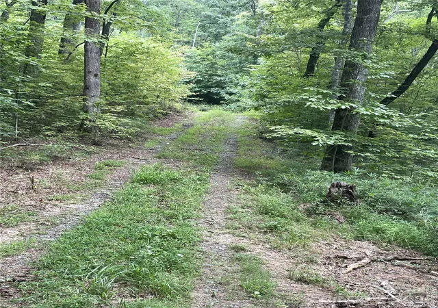 Photo 5 of Land for sale at 2060 US 19 Hwy S, Bryson City, NC 28713 | MLS# 4411317 | Listing updated on 2026-09-04